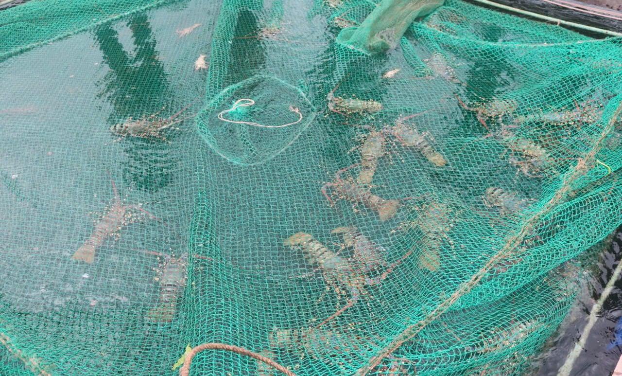 Vai trò cốt lõi của địa kỹ thuật công trình trong việc đảm bảo sự bền vững của các dự án nuôi trồng thủy sản nội địa